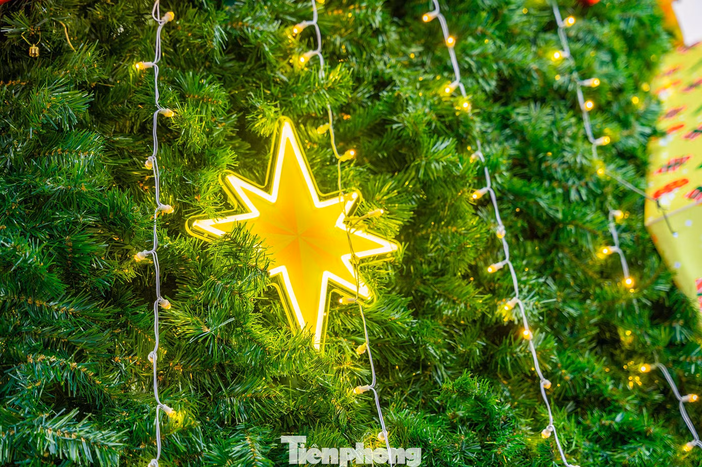tp-cay-thong-noelpka05140.jpg