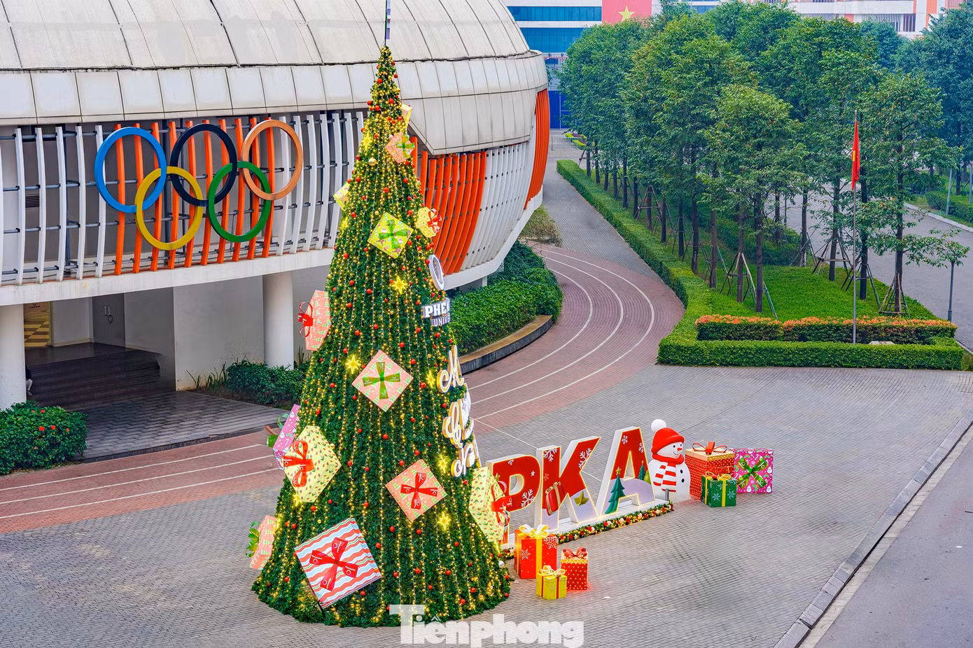 tp-cay-thong-noelpka05157-hdr-edit.jpg