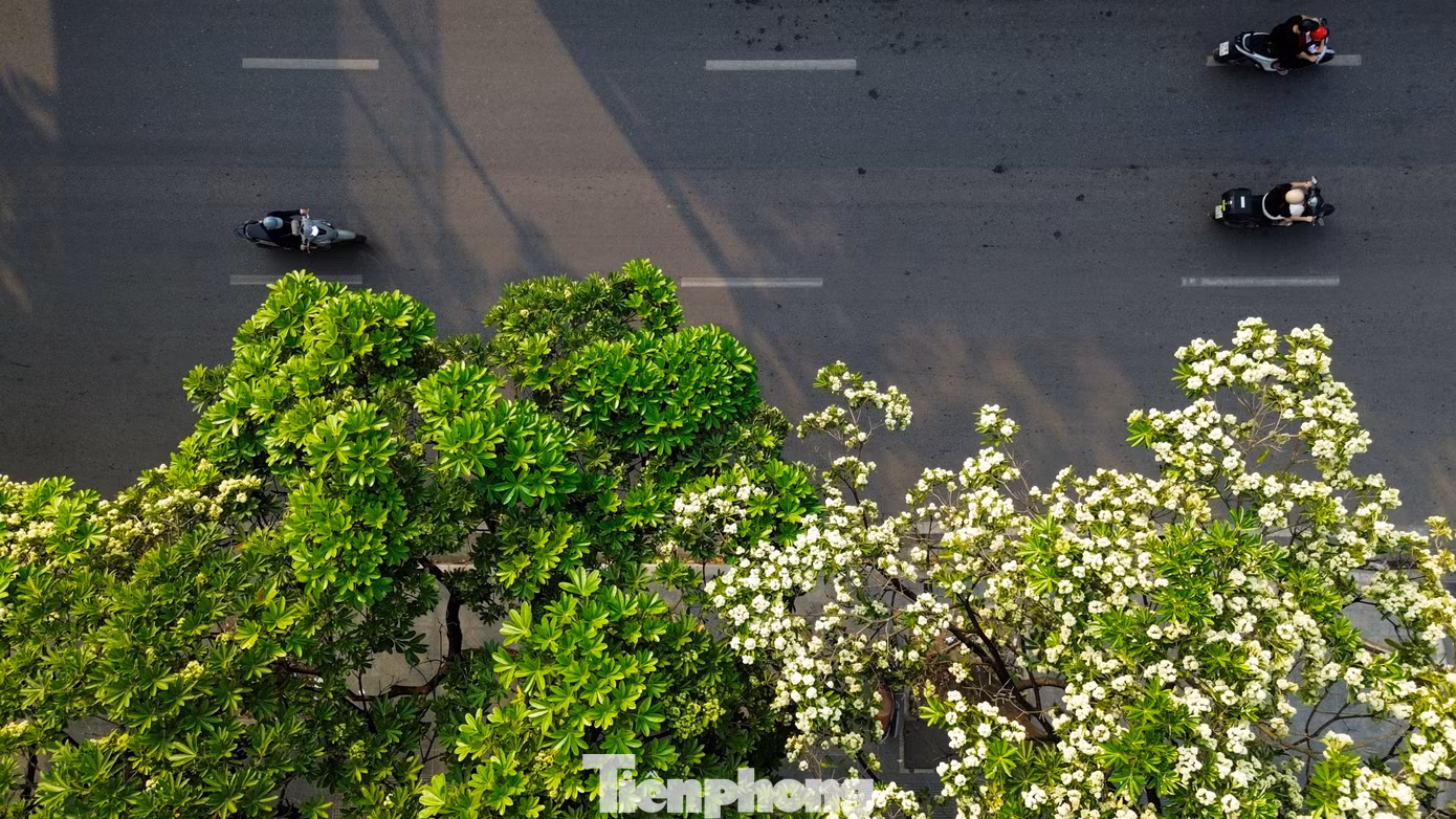 tp-c_dji-0476.jpg