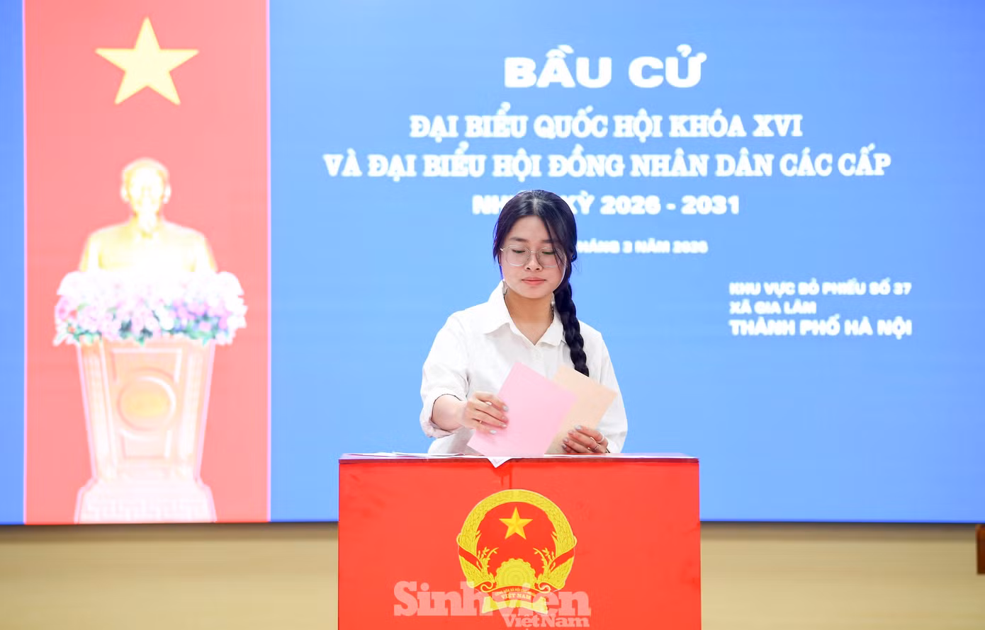 sv-sinh-vien-bo-phieu6.jpg
