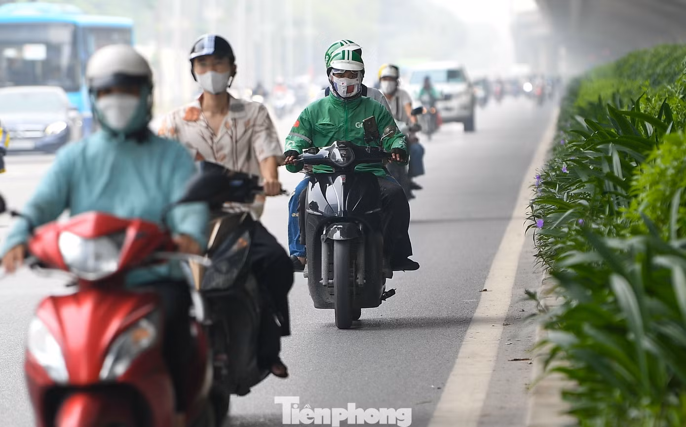 tp-suong-mu19.jpg