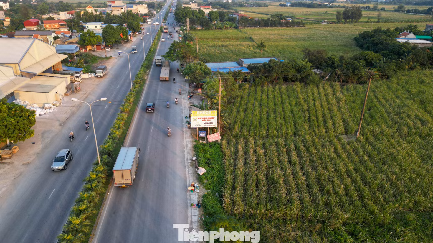 tp-cu-niengdji-0842.jpg