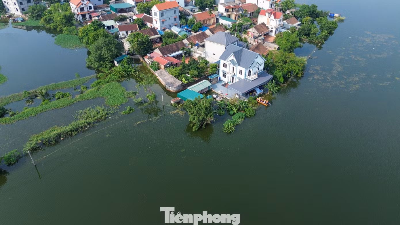 tp-c_dji-0313.jpg