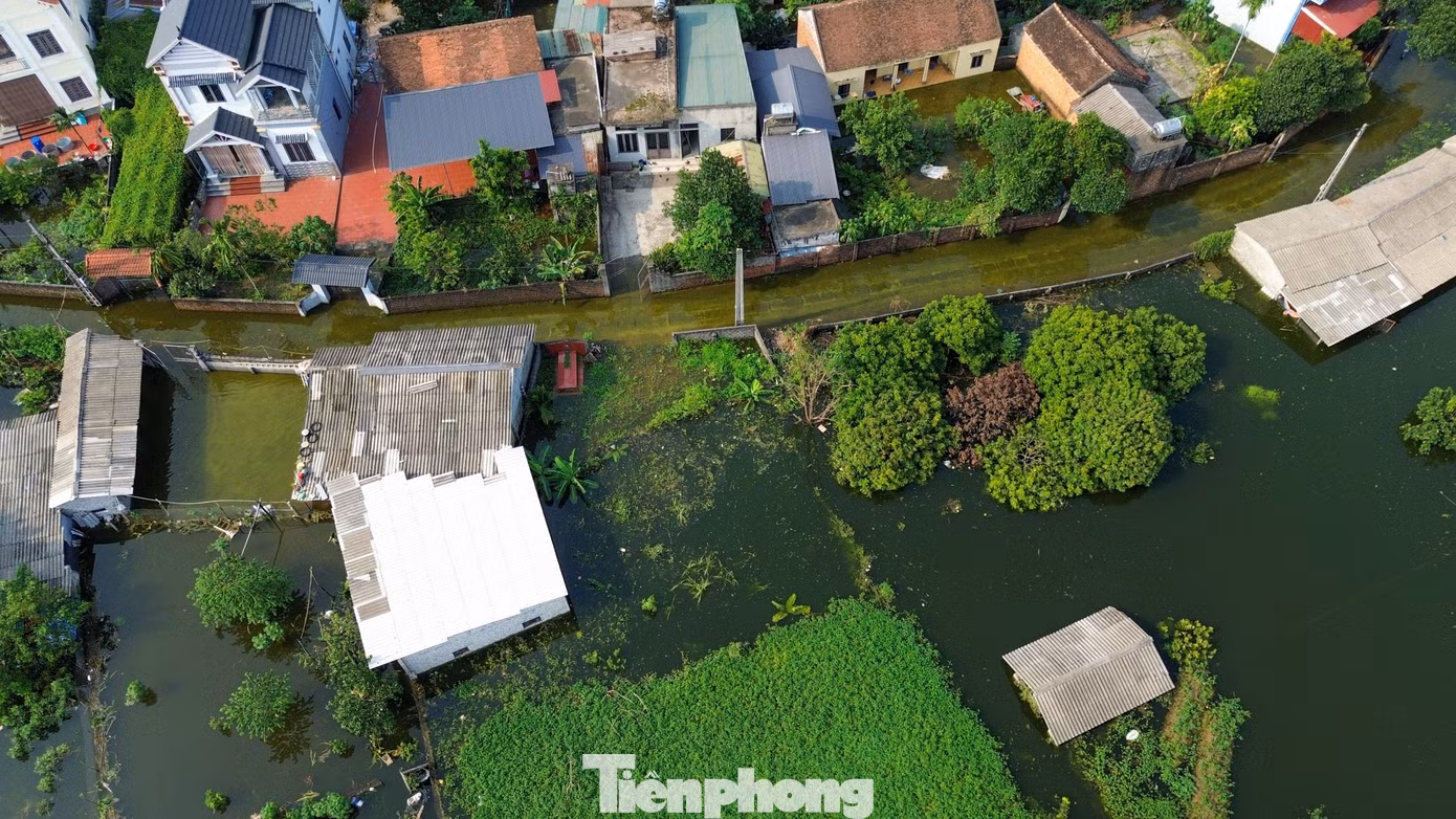 tp-c_dji-0312.jpg
