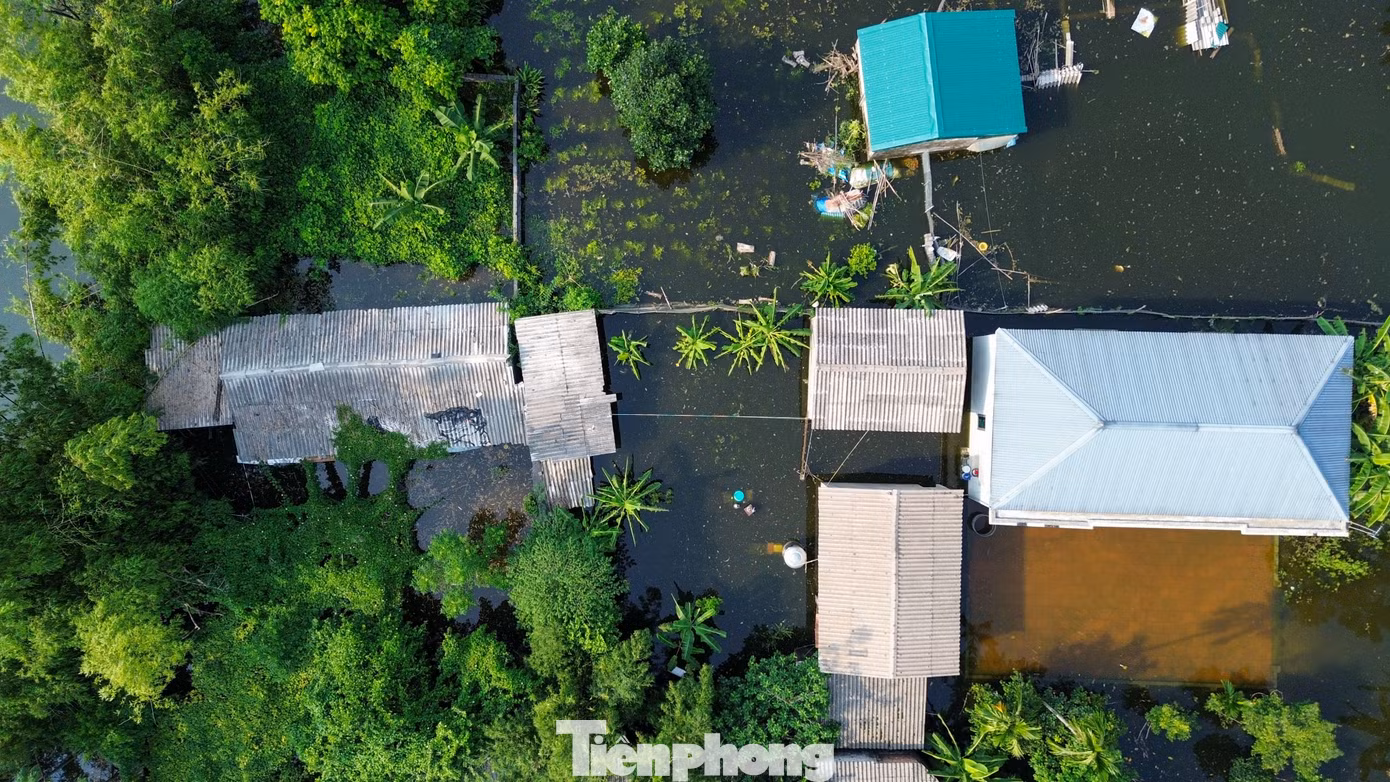 tp-c_dji-0303.jpg