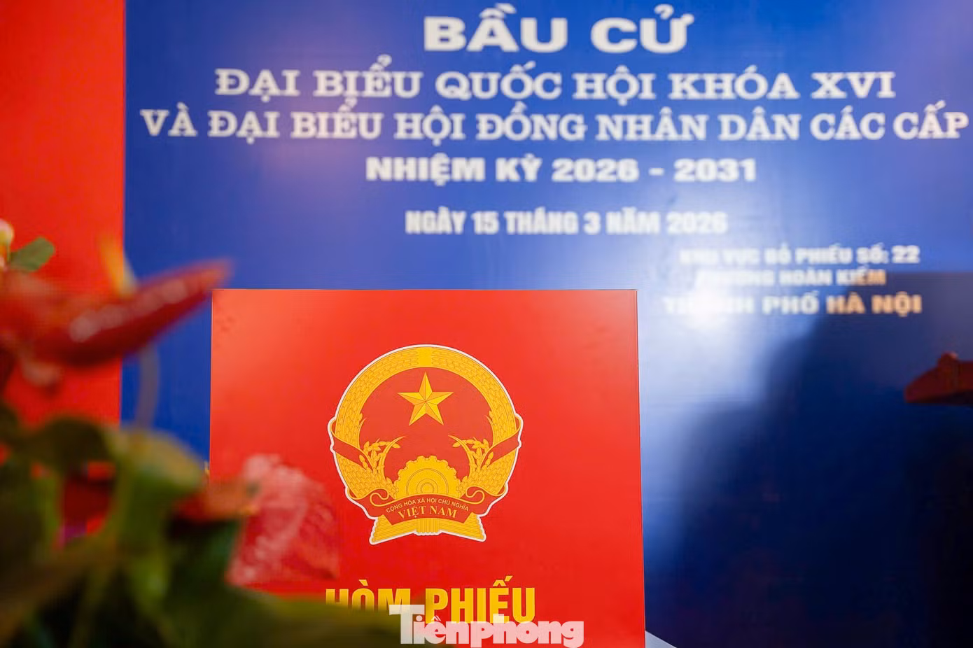 tp-diem-bau-cu119999.jpg