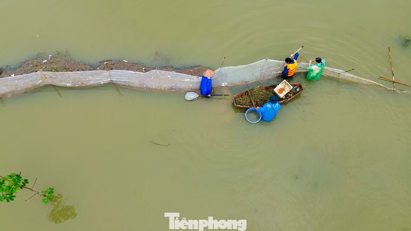 tp-c_dji-0142.jpg