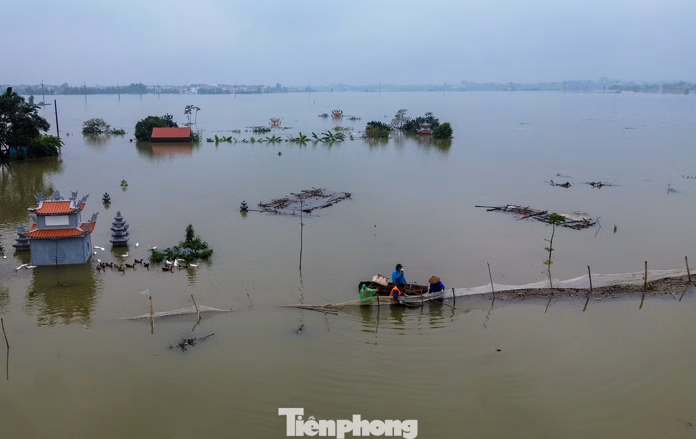 tp-c_dji-0131.jpg