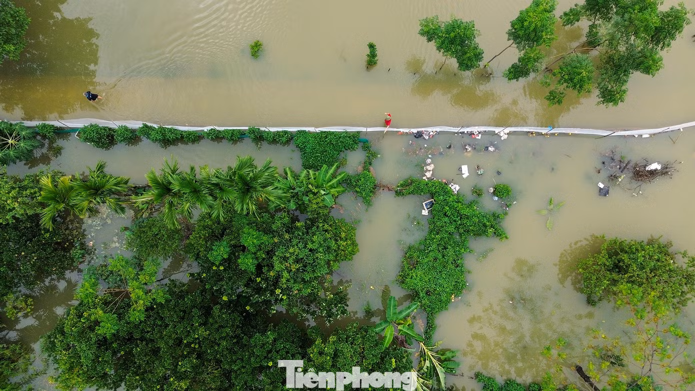 tp-c_dji-0125.jpg