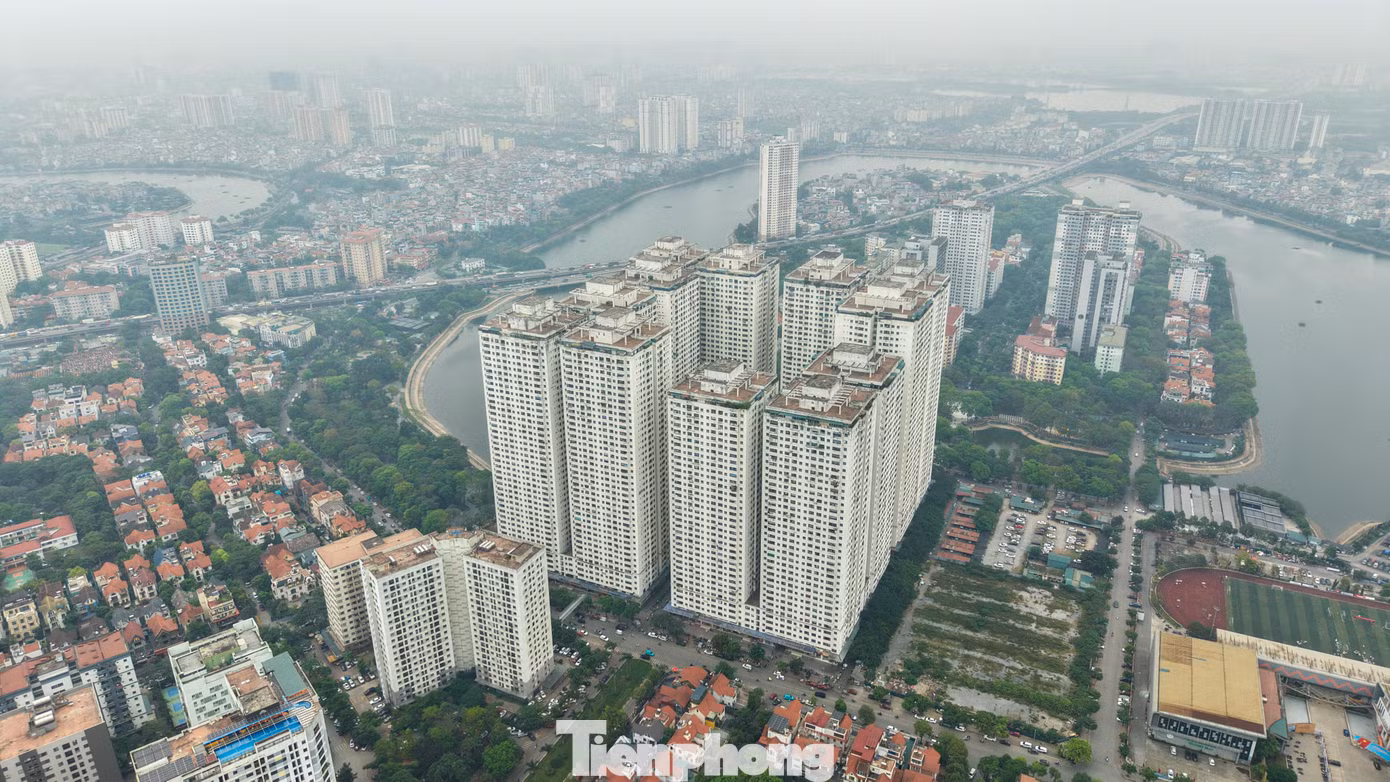 tp-hh-linh-dam1.jpg