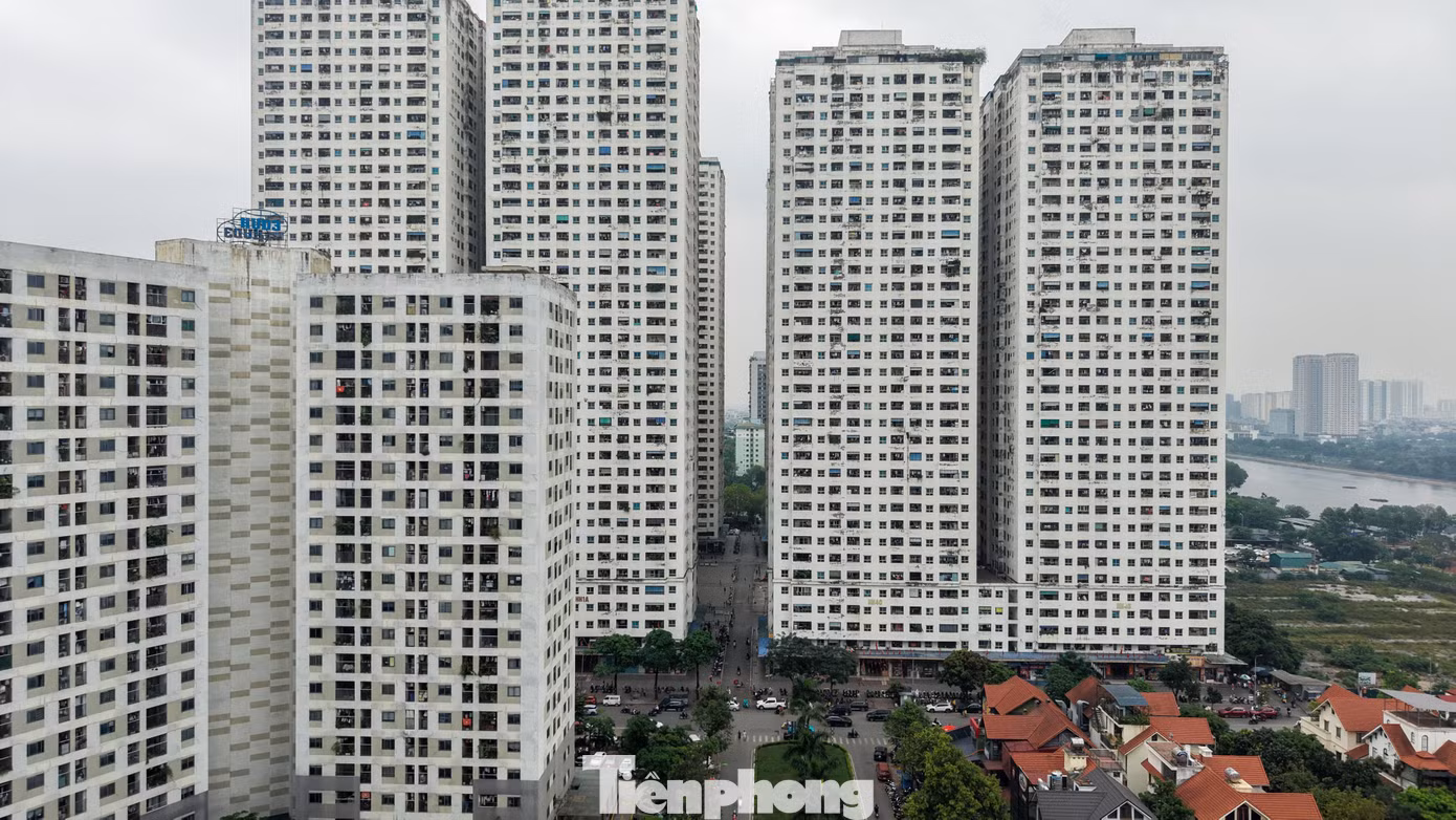 tp-hh-linh-dam.jpg