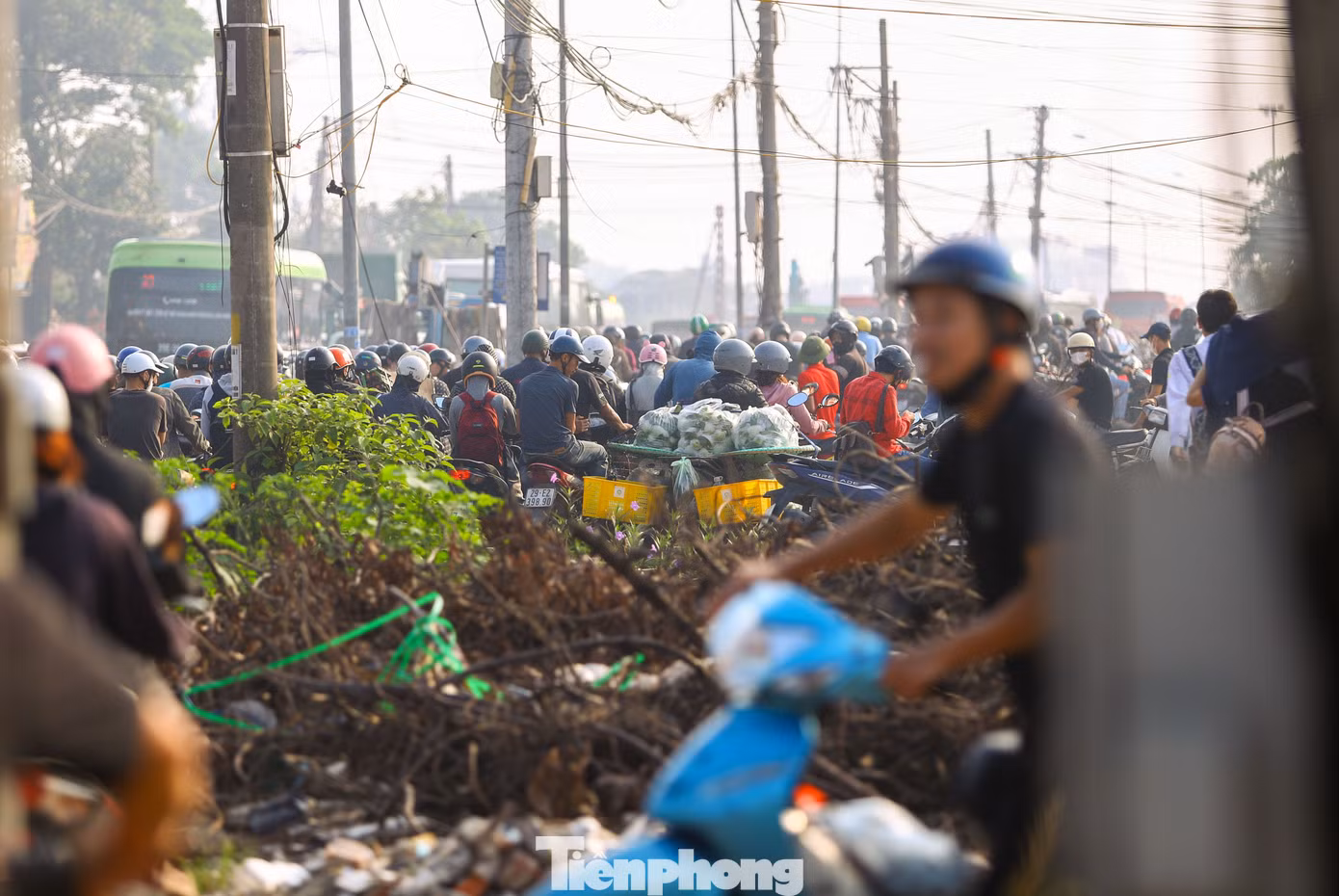 tp_cau-mai-linh3.jpg