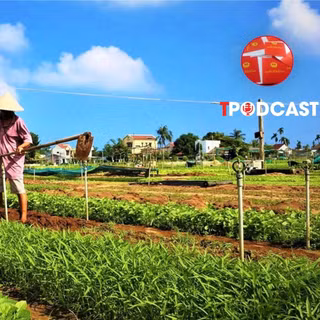 Mua đất vườn bằng giấy viết tay, làm thế nào để cấp sổ đỏ?