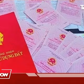 Cách xác định thời điểm sử dụng đất qua biên lai thuế