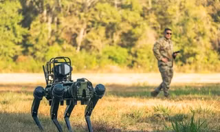 Lo ngại Lầu Năm Góc đang chế tạo robot sát thủ trong tầng hầm đã dẫn đến các quy định nghiêm ngặt hơn về AI. Ảnh: Business Insider.