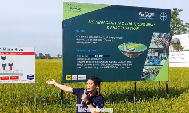 Dự án GoRice nâng cao kỹ thuật sản xuất lúa thông minh, thúc đẩy kinh tế tuần hoàn, giảm phát thải khí nhà kính, nâng cao thu nhập nông dân tại Cần Thơ.