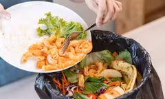 Vì sao rác thải thực phẩm là nguồn ô nhiễm lớn?