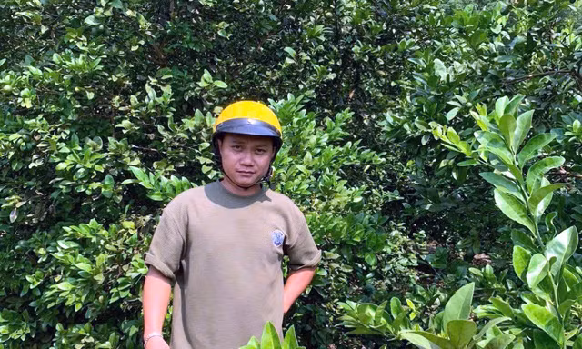 Từ nhân rộng giống cây 'lạ' làm giàu đến nông nghiệp xanh bền vững