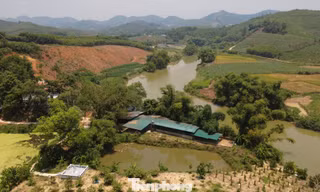 Lật tẩy nhiều chiêu trò bao tiêu nuôi con đặc sản tại Tuyên Quang