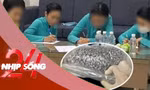 NHỊP SỐNG 24: Bốn nữ tiếp viên hàng không bị lợi dụng vận chuyển ma túy từ Pháp về Việt Nam như thế nào?