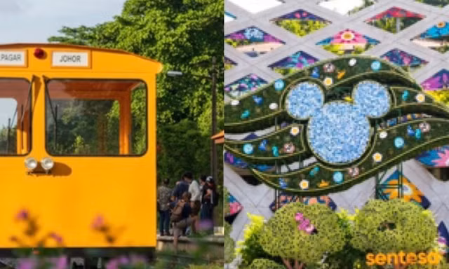 Khám phá Singapore dịp nghỉ lễ: Sáng đi rừng, chiều ăn ngon, tối chơi cùng Disney 