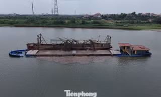 Hưng Yên: Người dân bất lực nhìn đất hoa màu bị cuốn trôi do hút cát trên sông Hồng