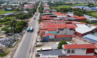 Hà Nội: Xử lý hàng loạt vi phạm lấn chiếm đất nông nghiệp, đất công