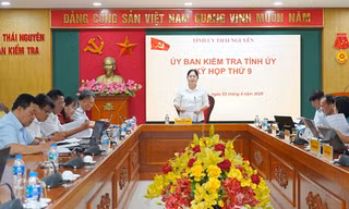 Thái Nguyên: Nguyên Chủ tịch UBND xã bị Khai trừ khỏi Đảng