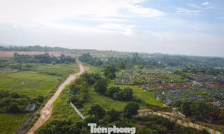 Bốc thăm tái định cư phục vụ dự án công viên nghĩa trang lớn nhất Hà Nội