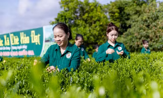 Mô hình 'Hợp tác xã xã hội chủ nghĩa' ở Thái Nguyên có gì đặc biệt? 