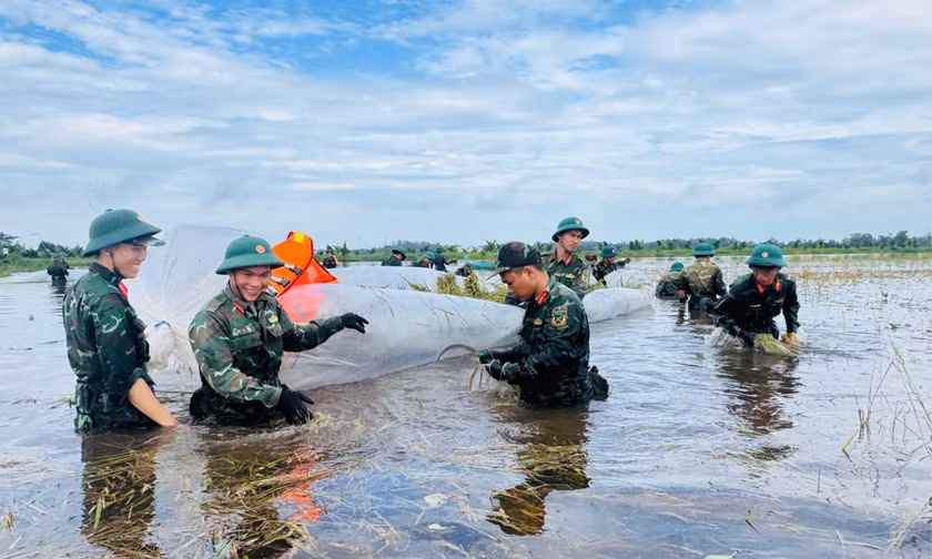Bộ đội ngâm mình trong nước gặt lúa giúp dân chạy ngập