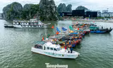 Quảng Ninh cấm biển, tàu thuyền hối hả chạy vào bờ tránh bão 