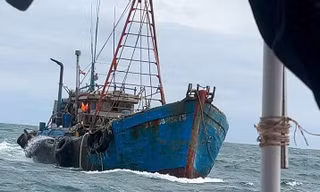 Hàng loạt tàu cá vi phạm IUU bị xử phạt tổng cộng hơn 700 triệu đồng