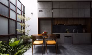 Nhà 4m ngang đầy nắng, gió và cây xanh