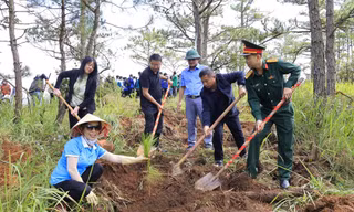 Lãnh đạo tỉnh Lâm Đồng tham gia trồng cây.