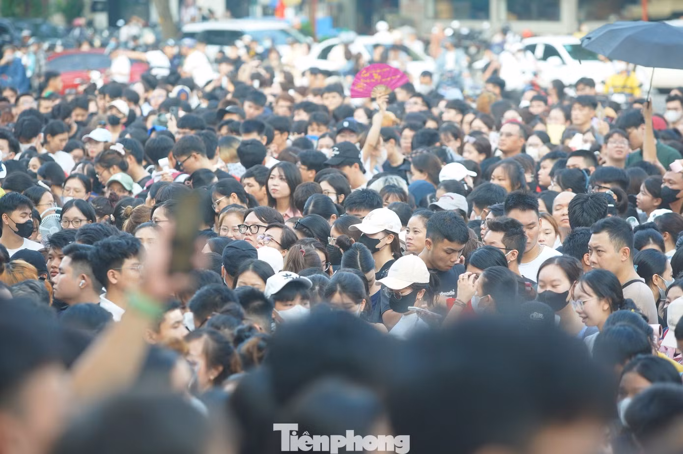 tp-nhahatlon15.jpg