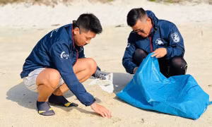 Những bạn trẻ về Hòn Cau 'đỡ đẻ' cho rùa