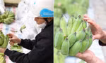 Mâm ngũ quả ngày ông Công ông Táo: Những màu sắc nào hòa hợp nhất với năm nay?
