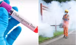 Bệnh Chikungunya từng xuất hiện ở Việt Nam: Triệu chứng, nếu mắc bệnh nên làm gì?