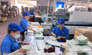 Dòng tiền khổng lồ đổ vào ngân hàng, sao doanh nghiệp không thể tiếp cận? 