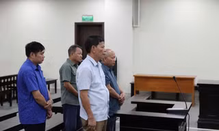 Tòa kiến nghị xử lý vi phạm xây dựng, khôi phục nguyên trạng đất rừng phòng hộ ở Sóc Sơn