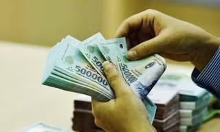 Truy tố người phụ nữ làm giả giấy tờ vay vốn chiếm đoạt tiền của ngân hàng