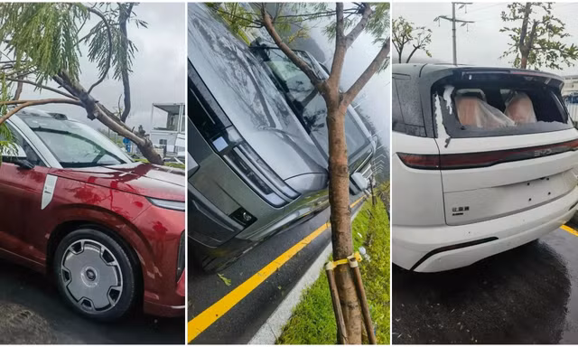 Nhà máy ô tô dính bão, xe hỏng được sửa rồi bán giá rẻ 