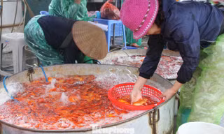 Cá chép tiễn ông Công ông Táo: Giá giảm mạnh, chợ vắng tanh