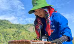 Hè tình nguyện đầy ý nghĩa vì cộng đồng 