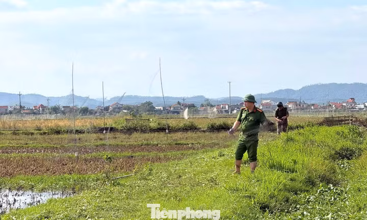 Công an lội ruộng gỡ 'ma trận' bẫy, ngăn nạn tận diệt chim trời