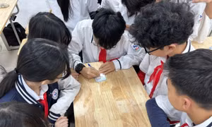 Học sinh học kỹ năng nói không với bạo lực học đường