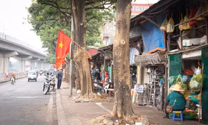 Phố Cầu Mới thông thoáng sau khi dẹp bỏ chợ cóc, chợ tạm