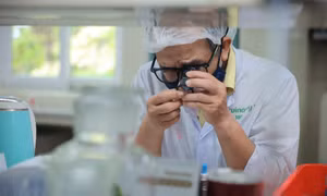 Các nhân tài KHCN sẽ được giao nhiệm vụ trực tiếp, tập trung vào lĩnh vực công nghệ cao, công nghệ chiến lược