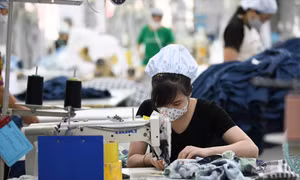  Ảnh: Như Ý